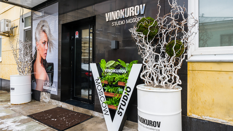 VINOKUROV STUDIO
